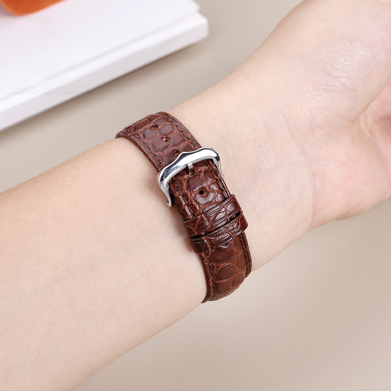 16mm 17 18 19 21 22mm Echte Al - Cartier Watch Tank recensie en prijs